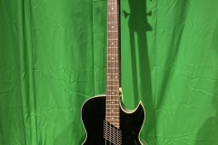 AB100 Acoustic Bass by Washburn